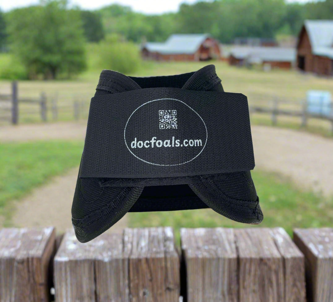 Harnessing the Power of Magnetic Therapy for Equine Wellness