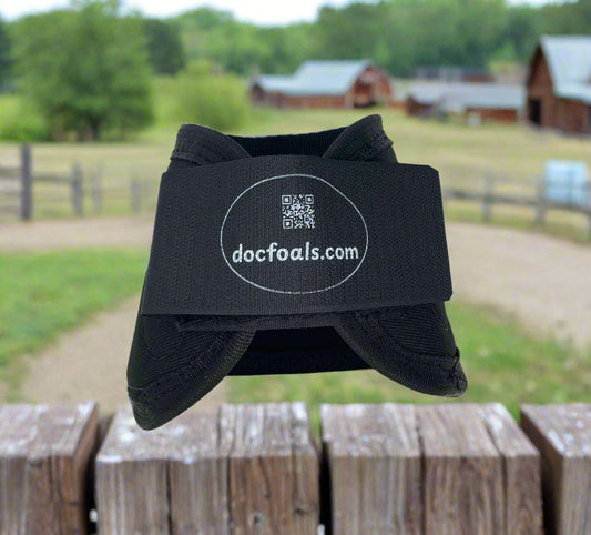 Harnessing the Power of Magnetic Therapy for Equine Wellness