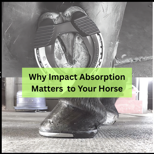 Why Impact Absorption Matters to Your Horse