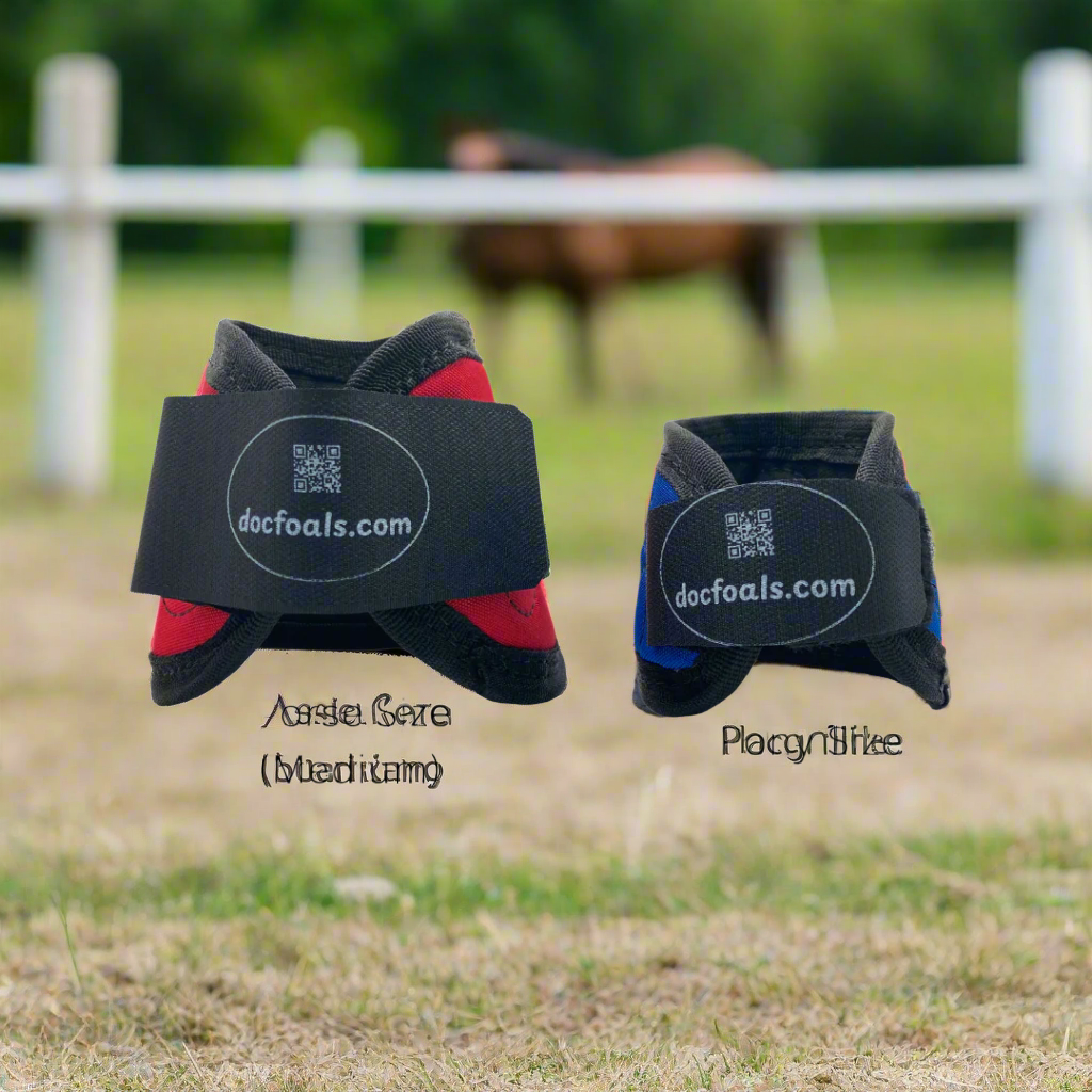 Magnetic Bell Boots for Horses