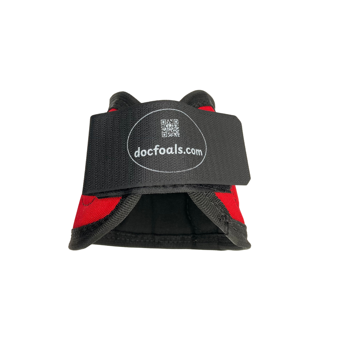 Magnetic Bell Boots for Horses