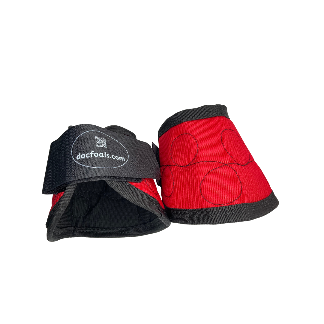 Boost your horse’s recovery with our durable Magnetic Bell Boots. Made with tough Cordura fabric and a neoprene core, they feature powerful neodymium rare earth magnets to increase blood flow and reduce inflammation. Unlike the weaker versions currently on the market, our boots use high-strength magnets for real results. Secure double-locking Velcro ensures a snug fit, while easy-care design washes well. Perfect for horses in training or recovery—shop now!