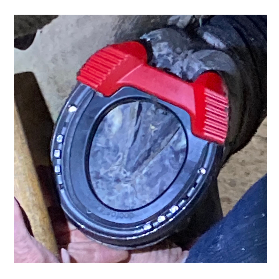 Newly redesigned pads with added magnetic and copper elements strategically placed under the hoof's major arteries promote circulation, reduce inflammation, and aid in healing. Ideal for all horses, especially those with common hoof issues. Get all the benefits of The Black Pads and more!