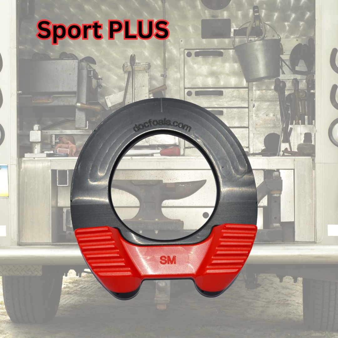The "Sport PLUS"