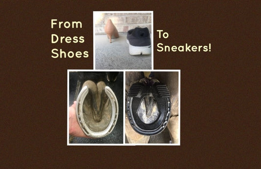 "Sneakers" for horses!