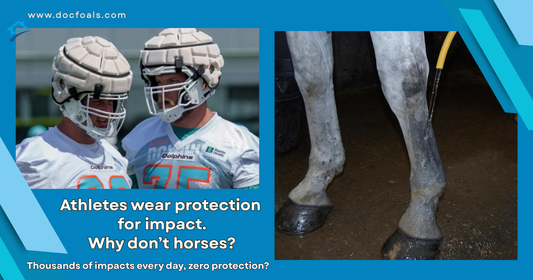 Why don't horses get the same injury prevention as athletes?