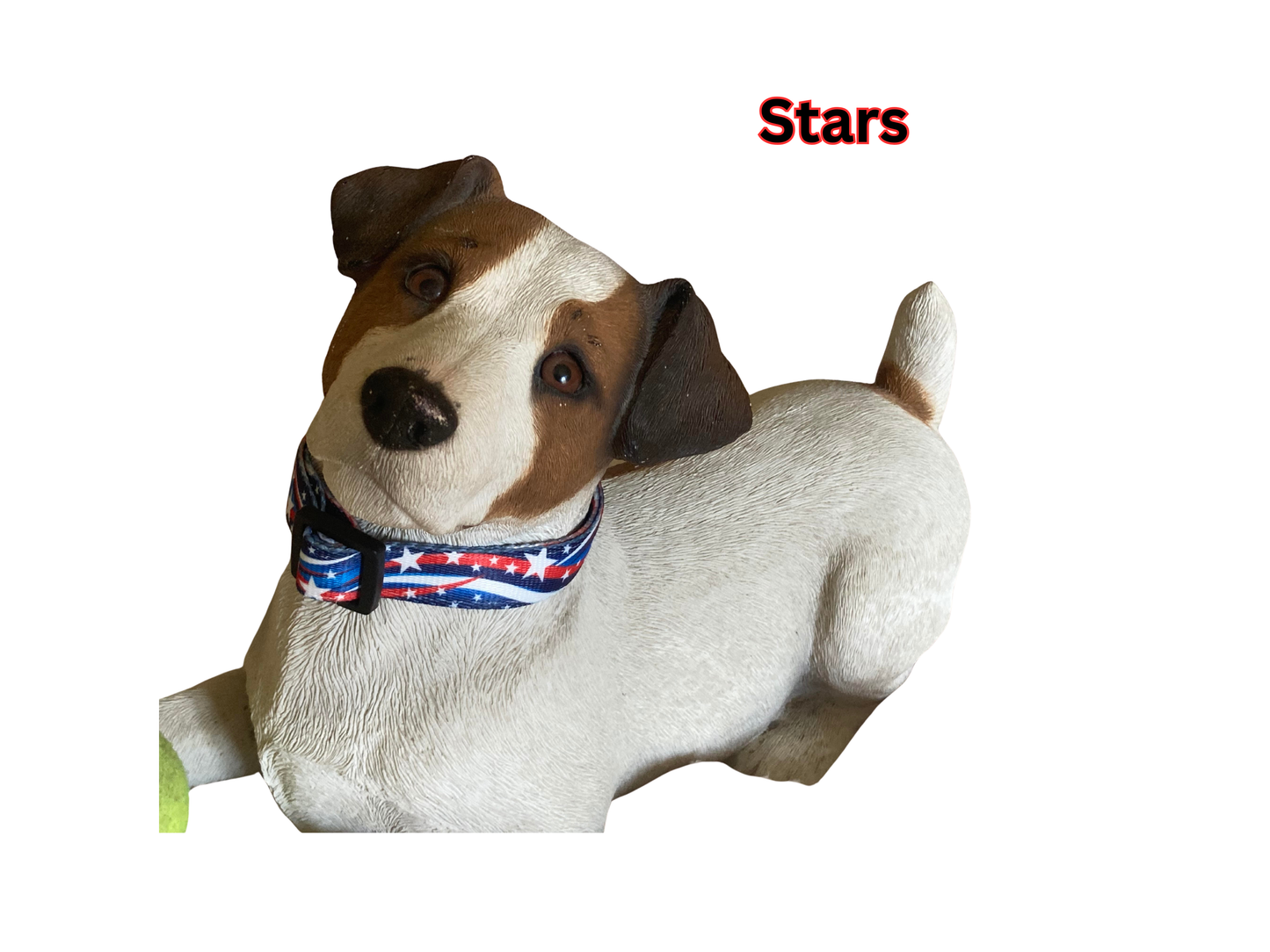 Maxx2 Dog Collars