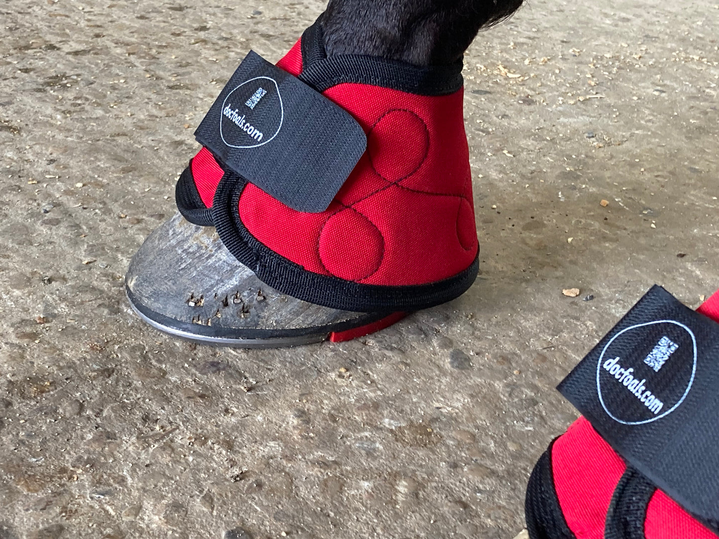 Magnetic Bell Boots for Horses