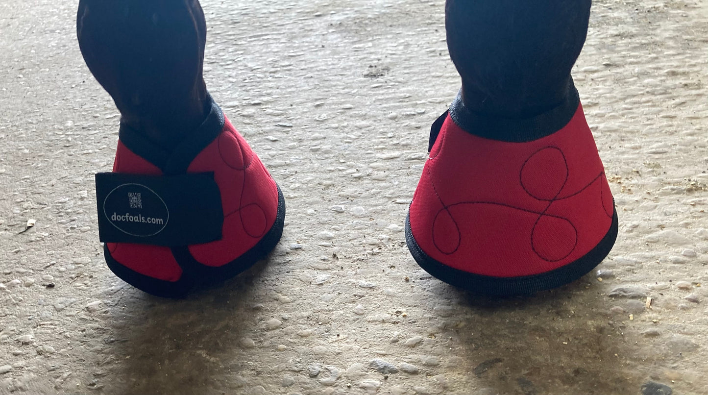 Magnetic Bell Boots for Horses