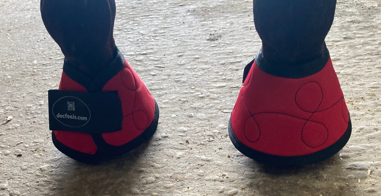 Magnetic Bell Boots for Horses