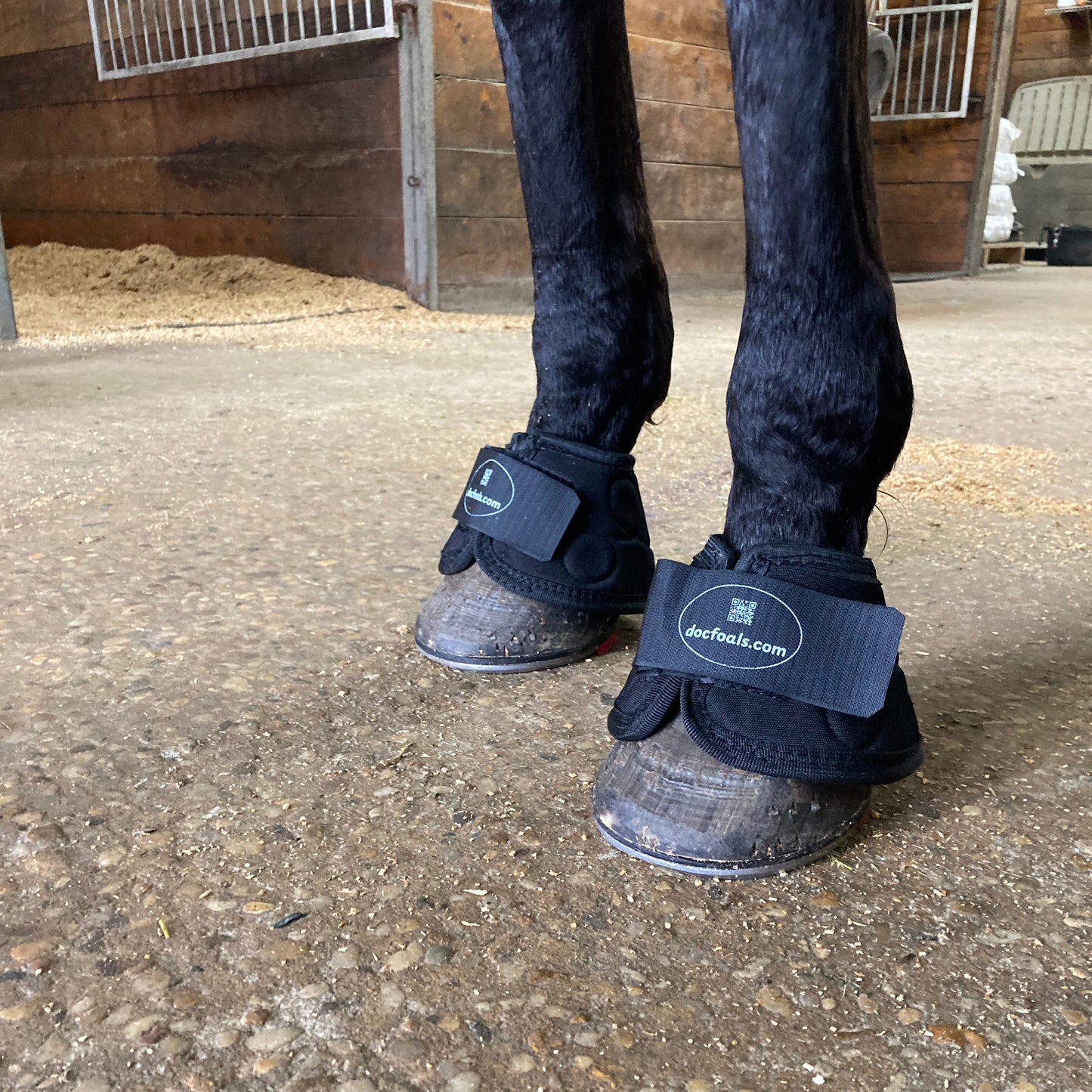 A horse wearing The Black Pads PLUS and New Magnetic Bell Boots from Doc Foal's to improve hoof health.