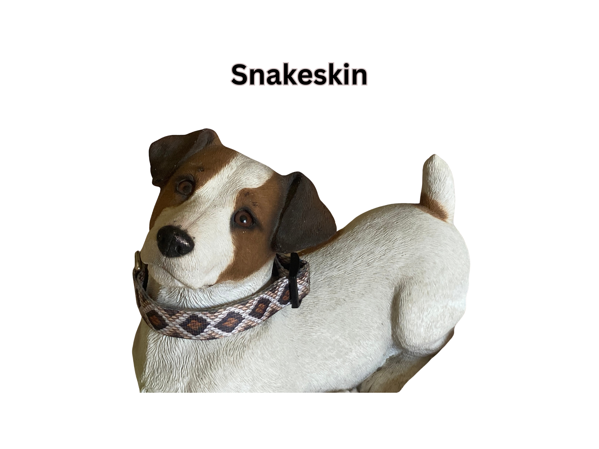 Maxx2 Magnetic Dog Collar for improved overall pet health on a dog figurine.