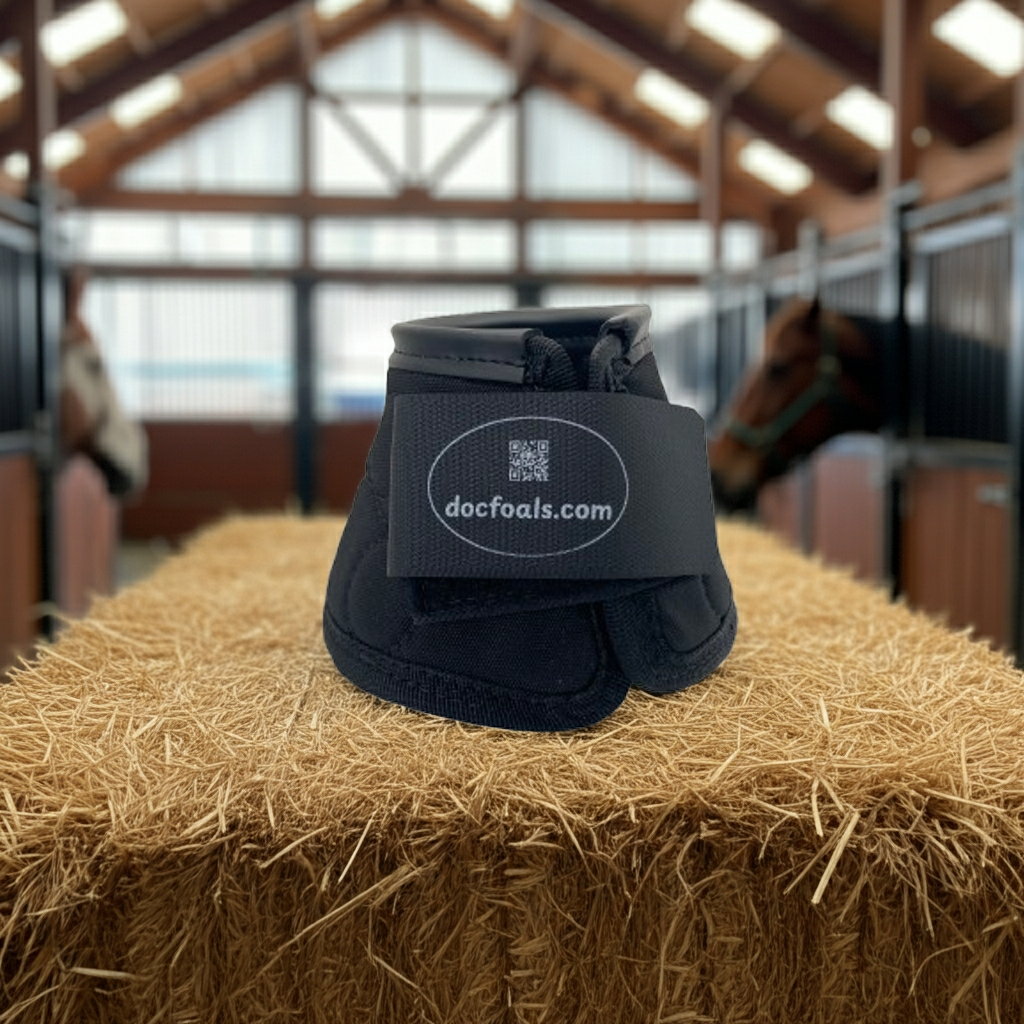 Doc Foal's Magnetic Bell Boots for Horses - Post-Workout Recovery & Hoof Health Support